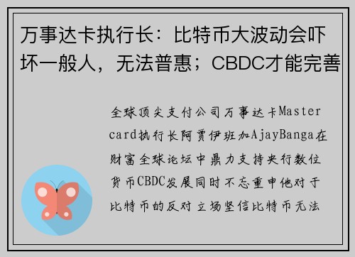 万事达卡执行长：比特币大波动会吓坏一般人，无法普惠；CBDC才能完善金融体系