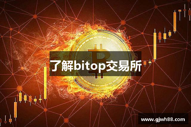 了解bitop交易所